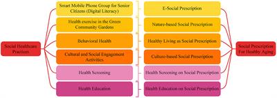 Community-based social healthcare practices in China for healthy aging: a social prescription perspective analysis